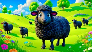 Baa Baa Black Sheep Nursery Rhyme Song for Kids [upl. by Meghan144]