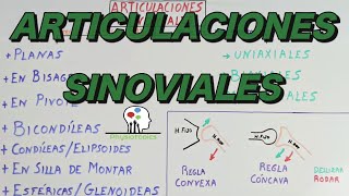 Las Articulaciones Sinoviales  Clasificación y ejemplos [upl. by Eegnat]