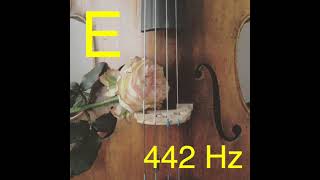 Cello E drone 442 Hz [upl. by Lucie]