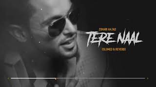 New Punjabi Songs 2022  Tere Naal Slowed amp Reverb Zohaib Amjad  Midnight Relaxing Songs [upl. by Ariaec]