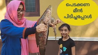 ജീവനുള്ള മീൻ പിടിച്ചു കറി വെച്ചു varal fish fry and curry  Braal kannan curry Ayeshas Kitchen Vlog [upl. by Nazar]