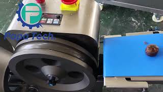 Energy ball  protein ball making machine [upl. by Madalyn]