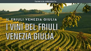 I vini del Friuli Venezia Giulia  Tannico Flying School [upl. by Yorle391]