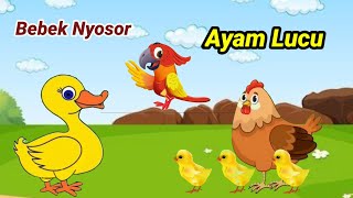 Lima Ayam Nakal ll Tek Kotek Kotek ll Ayam Berkokok ll Ayam [upl. by Dymphia539]