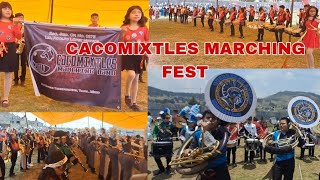 CACOMIXTLES MARCHING FEST [upl. by Merrily]