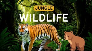 Let Learn About Wild Animals KidsLearning WildAnimals SafariAdventure KidsEducation FunLearning [upl. by Bernard470]