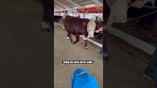 Come with me and my family to the Kern County Fair bakersfield vlog fairgrounds [upl. by Torp832]