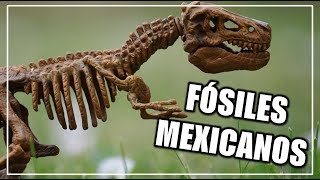 ¿Qué fósiles han sido encontrados en México  CIENCIA A LA MEXICANA [upl. by Legir982]