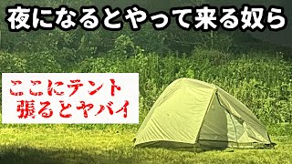 【閲覧注意】ここにテントを張らない方がいい理由とは…徒歩ソロキャンプ [upl. by Kolodgie20]