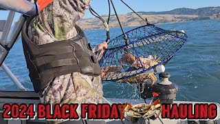 Bodega Bay Dungeness Crabbing  Black Friday 🦀 Hauling dungenesscrab bodegabay [upl. by Shanly]