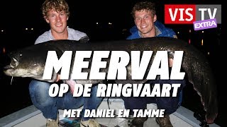 VIS TV Extra 47  Meerval [upl. by Nehpets713]