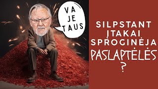 Šimonytė meluoja silpsta Landsbergio įtaka [upl. by Mikel]