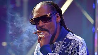 Snoop Dogg  Conflicted feat Nas remix 2023 [upl. by Enenstein]