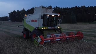 🔥Oporowy owies 2024🔥  Claas Lexion 540 [upl. by Mcclain983]