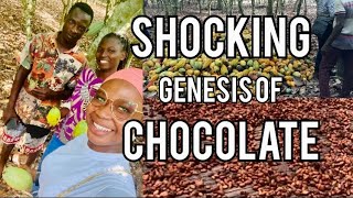 Travel Vlog in Ghana Cocoa Farming in the Eastern Region Extracting Cocoa Beans for Chocolate 🍫 [upl. by Reyaht682]