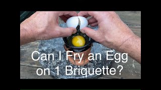 Can I Cook an Egg Using Just 1 Charcoal Briquette [upl. by Lantha]