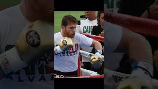 El legado de canelo Alvarez canelo shorts [upl. by Ettolrahc]