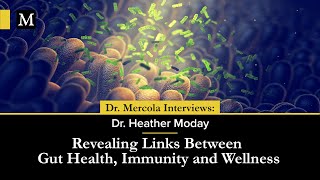 Revealing Links Between Gut Health Immunity and Wellness — Interview with Dr Heather Moday [upl. by Yrohcaz]