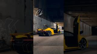 Lamborghini Centenario Owner [upl. by Hershel]