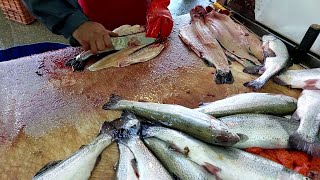 Filleting trout for a restaurant [upl. by Dimitris]