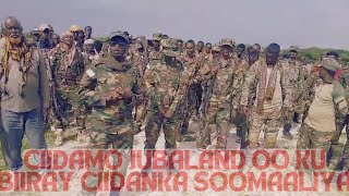 Ciidamo Jubaland Oo Ku Biiray Ciidanka DFS quotMa Nihin Cadowga Jubaland Soomaliya Waa Hooyadaquot [upl. by Anaerdna]