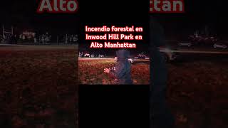 Incendio en Inwood Hill Park en Alto Manhattan jjnews NY Manhattan [upl. by Yeleak]