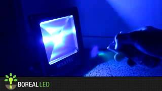 Refletor Holofote LED RGB 50W Colorido com Controle Remoto IP66 Bivolt Maxtel [upl. by Airdnaid883]