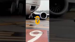 UÇAĞIN İNİŞ TAKIMLARI AÇILMAZSA NE OLUR  uçak uçuş airplane uçakkazası uçakseferleri [upl. by Alina885]