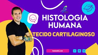 Histologia Humana  Tecido Cartilaginoso [upl. by Sardse793]