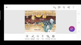 platelets Physiology 1 part 2 of Lect3 [upl. by Jeramey]