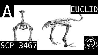 SCP3467 Anomoaly Euclid [upl. by Xam]