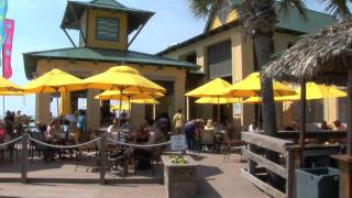 Welcome  Hilton Sandestin Beach Golf Resort amp Spa Beach Blog [upl. by Einnos]