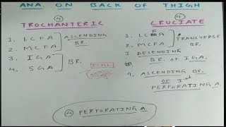 Trochanteric and Cruciate Anastomosis  Part 1  The Charsi of Medical Literature [upl. by Amanda312]