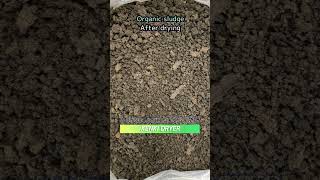 Lowtemperature drying of organic sludge for upcycling Shorts sludgedryer sludgedrying [upl. by Joellen]