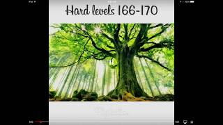 Real Einsteins Riddle hard levels 166170 [upl. by Anglim936]