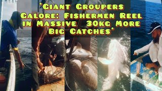 Giant 30 kg Groupers Galore Fishermen Reel in Massive More Big Catches [upl. by Aneehsyt]