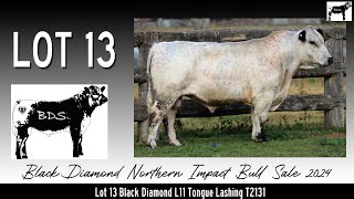 Lot 13 Black Diamond L11 Tongue Lashing T2131 [upl. by Ronyar]