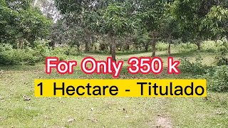 V 449 For Only 350 k 1 Hectare Titulado May Kalsada [upl. by Sirrep]