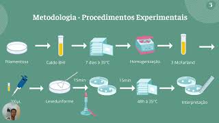 Sensibilidade in vitro de isolados de Sporothrix spp a antifúngicos comerciais [upl. by Yennor]