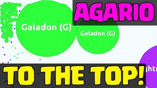 AGARIO GAME  Shooting to the TOP SPOT in Agario [upl. by Luigino]