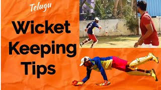 Wicket Keeping  Tips amp Drills  【తెలుగు】 [upl. by Tenom810]