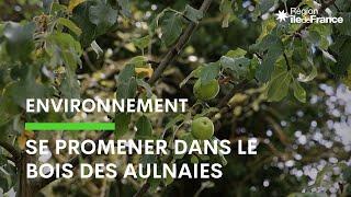 Découvrez les aménagements paysagers du bois des Aulnaies [upl. by Kenlay]