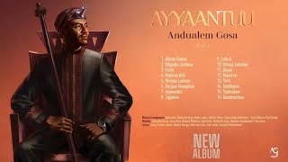 Andualem Gosaa AYYANTUU New Ethiopian Oromo Album Music 2024 [upl. by Nohsar]