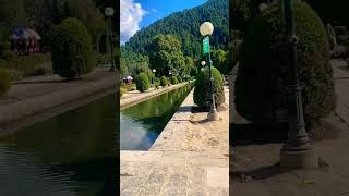 Verinag verinag viralvideo shorts fyp kashmir tourism [upl. by Macswan]