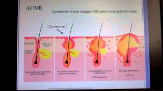 Dermatology part 1 [upl. by Shear]