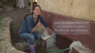 Veracruz Agropecuario  Baño Ecológico sin Agua [upl. by Jelle]