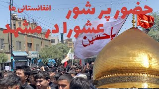 حضور پر شور افغانستانی ها در مراسم عاشورا  مشهد [upl. by Ydassac]