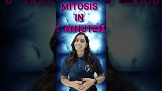 Mitosis A Fascinating Journey Inside Cells🔥mitosis ytshorts youtubeshorts biology shorts [upl. by Airda]