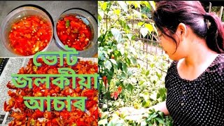 ভোট জলকীয়া আচাৰৰ একেবাৰে সহজ পদ্ধতি।। Ghost Chilli Pickle Recipe।। Usha Deori ।।Tribal Traditional।। [upl. by Khosrow]