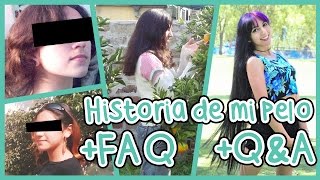 HISTORIA DE MI PELO FAQ QampA StoryTime [upl. by Klockau]